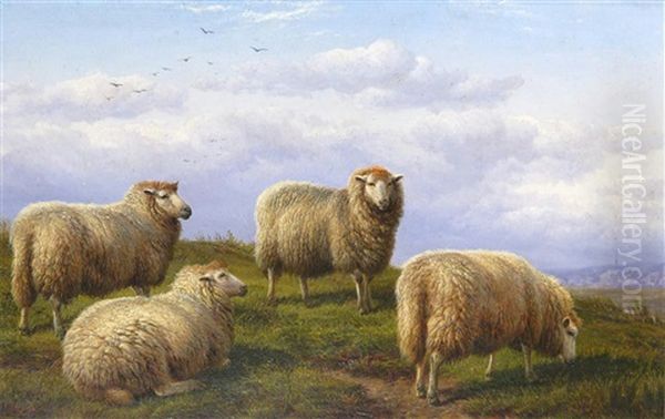 Sheep Grazing - view 1
