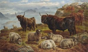 Highland Cattle And Sheep Grazing by Charles Jones