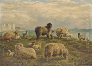 The Cliffs Of Dover by Charles Jones