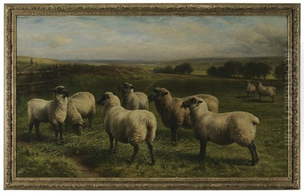Sheep Grazing In A Panoramic Landscape - view 1