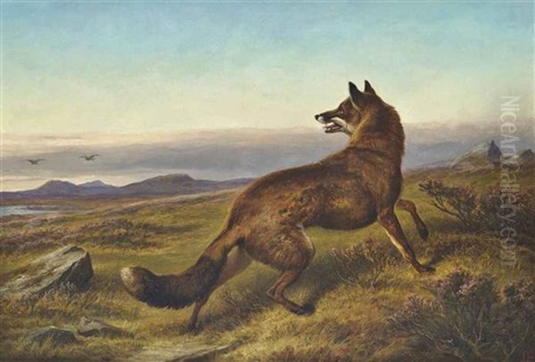 The Fox - view 1