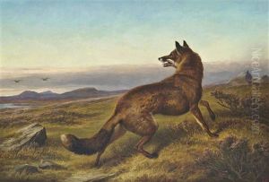 The Fox by Charles Jones