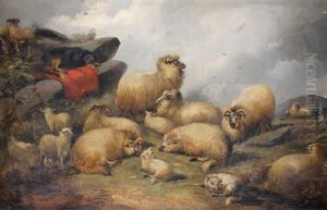 Chien Et Moutons Chien Et Moutons