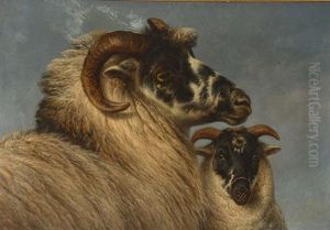 Portrait Of A Ram With Companion Alongside by Charles Jones