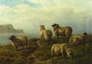Sheep Grazing On A Headland by Charles Jones