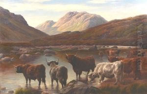 A Warm Morning, Glen Etive Argyleshire by Charles Jones