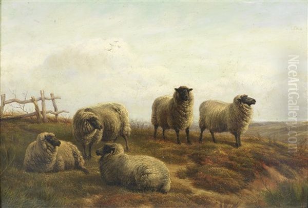 Sheep On Moorland - view 1