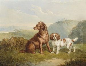 Zwei Hunde In Weiter Landschaft by Charles Jones