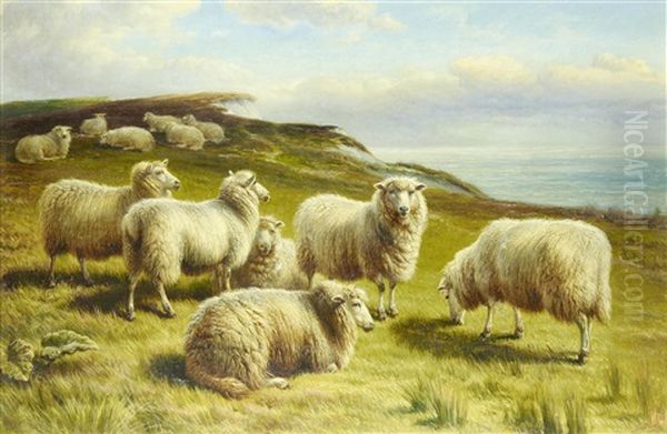 On The South Downs - view 1
