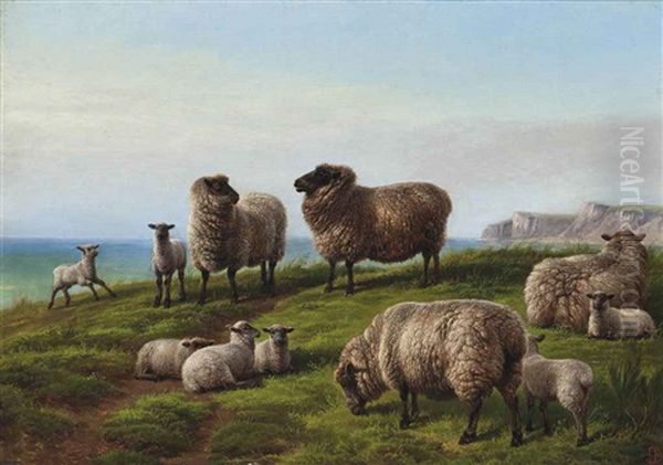 Sheep Grazing On A Headland - view 1