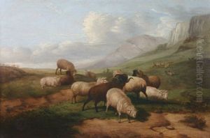A Flock Of Sheep And Rams In A Landscape A Flock Of Sheep And Rams In A Landscape