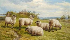 Funf Schafe Auf Der Weide by Charles Jones
