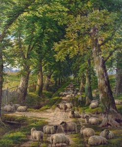 Sheep Resting On A Shady Path by Charles Jones
