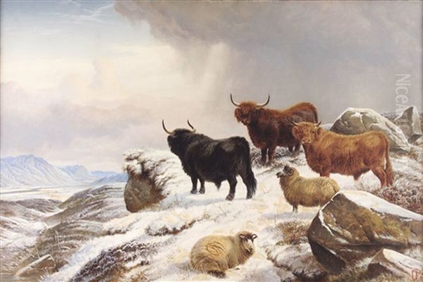Highland Cattle And Sheep In A Snow Covered Highland Landscape - view 1