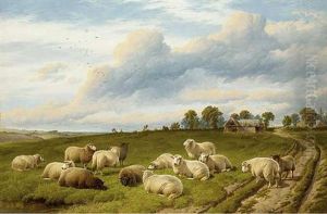 Sheep Grazing On A Hilltop, A Barn Beyond by Charles Jones