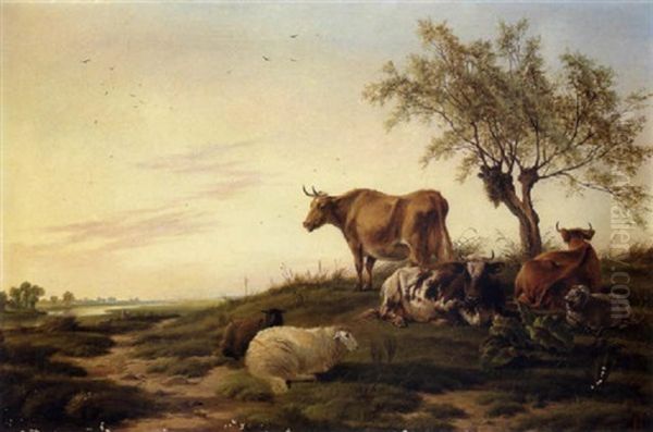 Kuhe Und Schafe Auf Der Weide - view 1