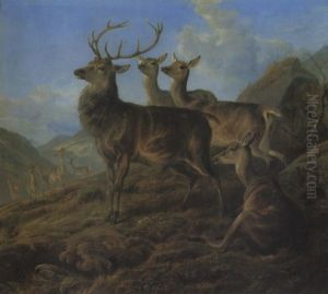 A Stag With Hinds In A Highland Landscape by Charles Jones
