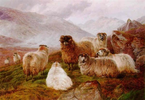 Sheep In A Valley - view 1