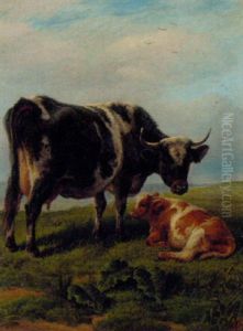 A Cow And Calf In A Meadow