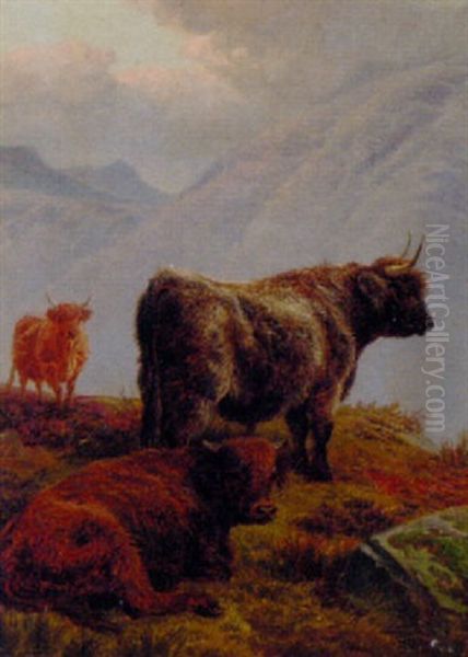 Highland Cattle In A Mountainous Landscape - view 1