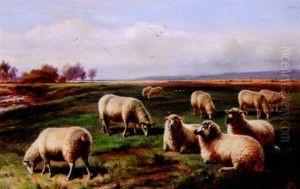A Quiet Pasture