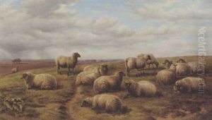 Schafe Auf Der Weide by Charles Jones