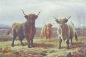 Highland Cattle by Charles Jones