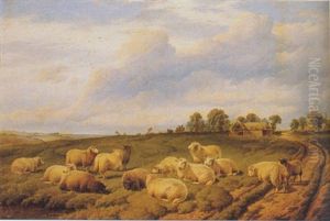 Sheep In A Meadow Sheep In A Meadow