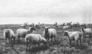 Sheep By The Shore
