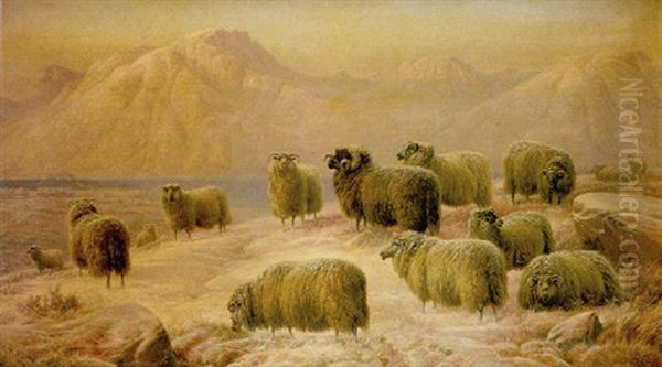 Invierno En Los Highlands - view 1