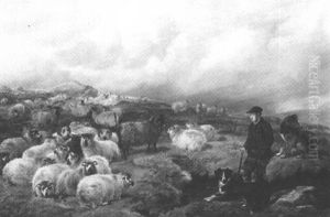 Sheep In The Highlands by Charles Jones