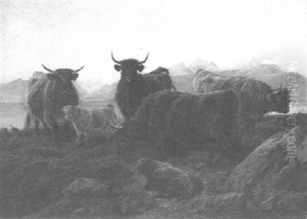 West Highland Cattle By The Side Of Loch Leven - view 1