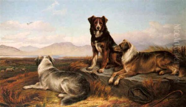 Guardians Of The Flock - view 1