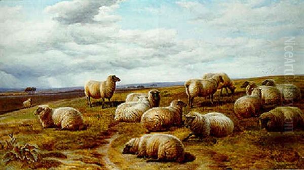 Sheep Resting In A Landscape - view 1