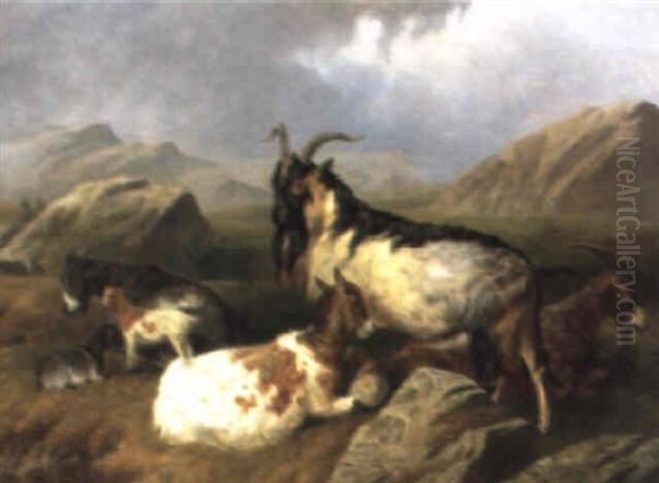 Ziegen Im Hochland - view 1