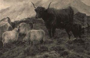 Highland Cattle With A Calf And Sheep by Charles Jones