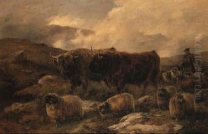 A Highland Drove