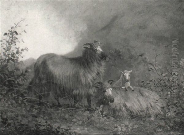 Sheep On A Hillside - view 1