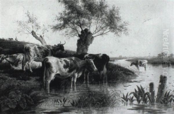 Cattle Watering - view 1