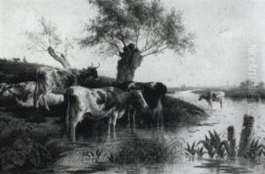 Cattle Watering