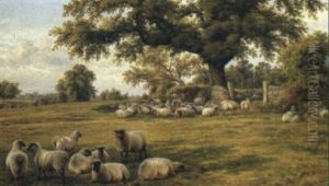 Sheep At Pasture by Charles Jones
