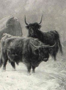 Highland Cattle In Winter by Charles Jones