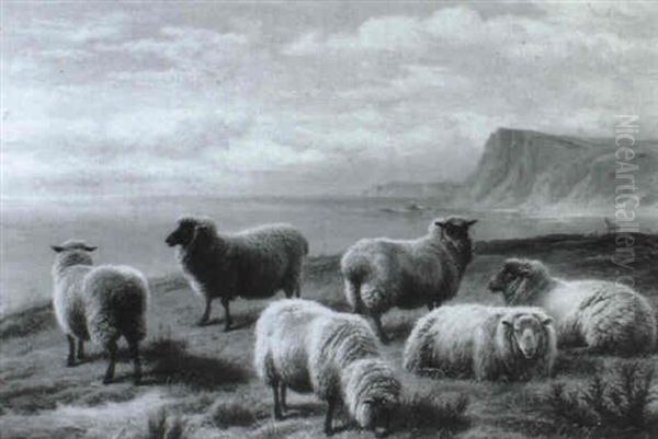 Sheep On A Devonshire Coast - view 1