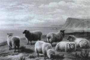 Sheep On A Devonshire Coast by Charles Jones