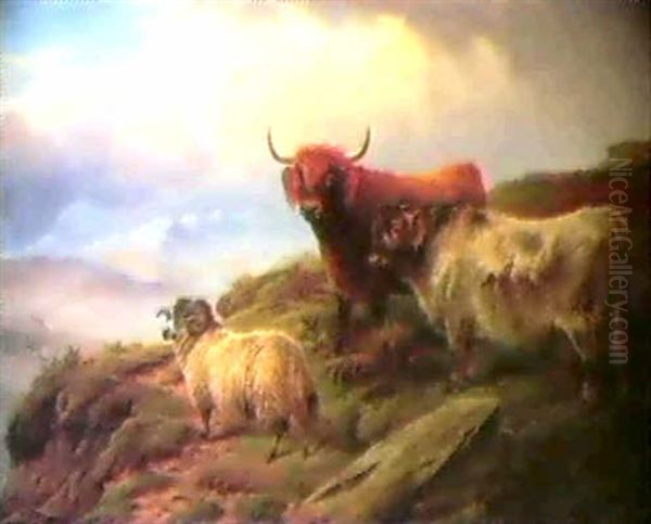 Highland Cattle And Sheep - view 1