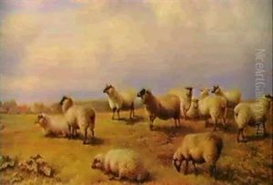 Sheep At Pasture by Charles Jones