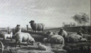 "sussex Pastures" by Charles Jones
