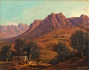 Cottage In A Cape Landscape by Tinus de Jongh