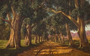 An Avenue Of Gumtrees by Tinus de Jongh