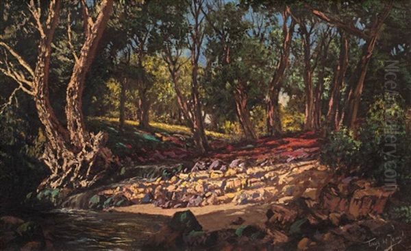 A Stream Flowing Through Trees - view 1